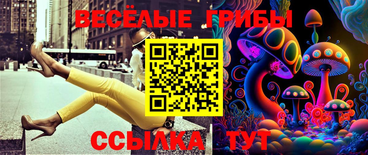 Фрязино  Псилоцибиновые грибы MAGIC MUSHROOMS  Вход с VPN 